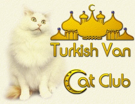 Turkish Van Cat Club UK